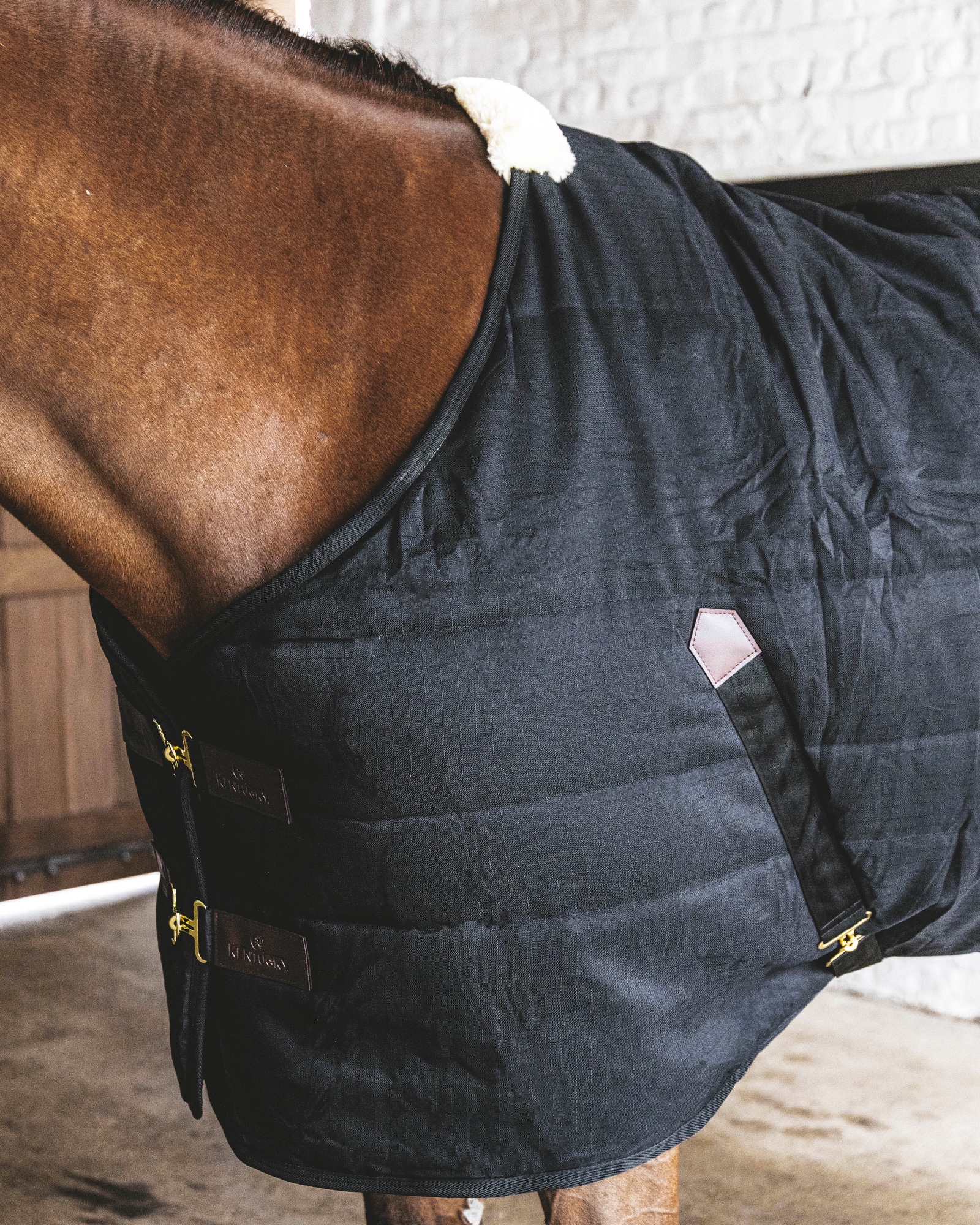 Stable rug Classic 100g