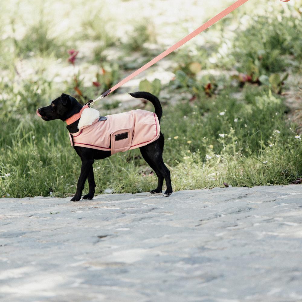Manteau pour chien imperméable 160g