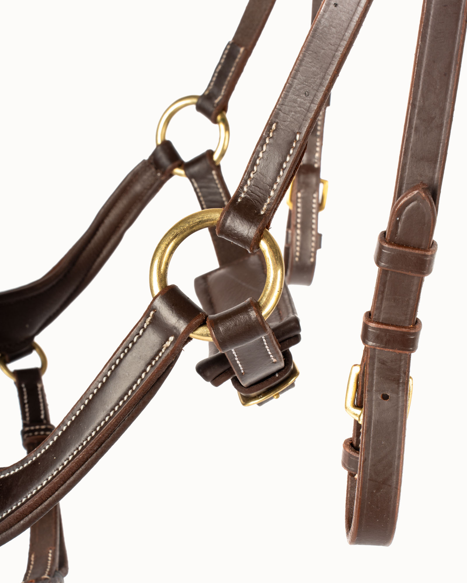 Snaffle Devi