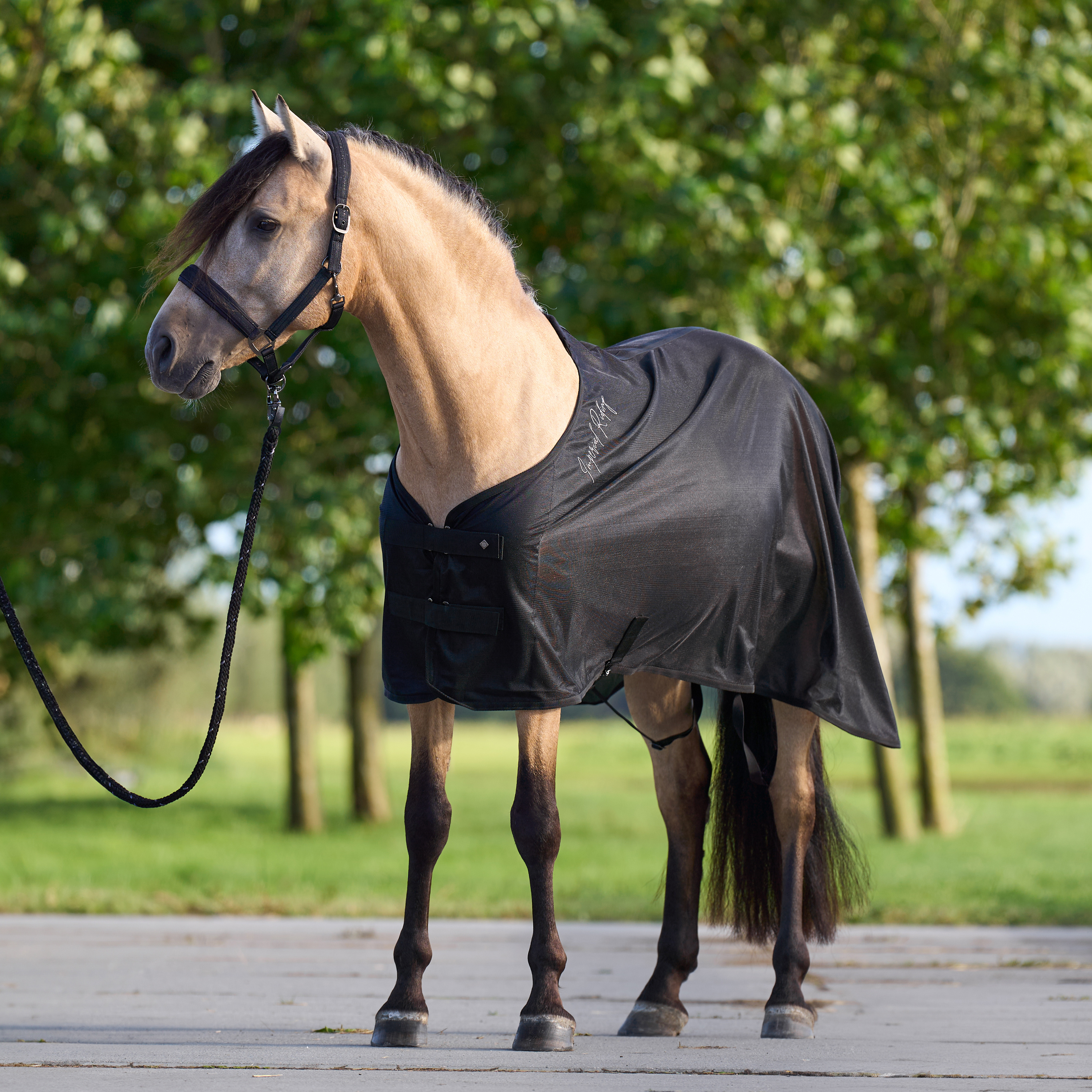Transport blanket Mesh