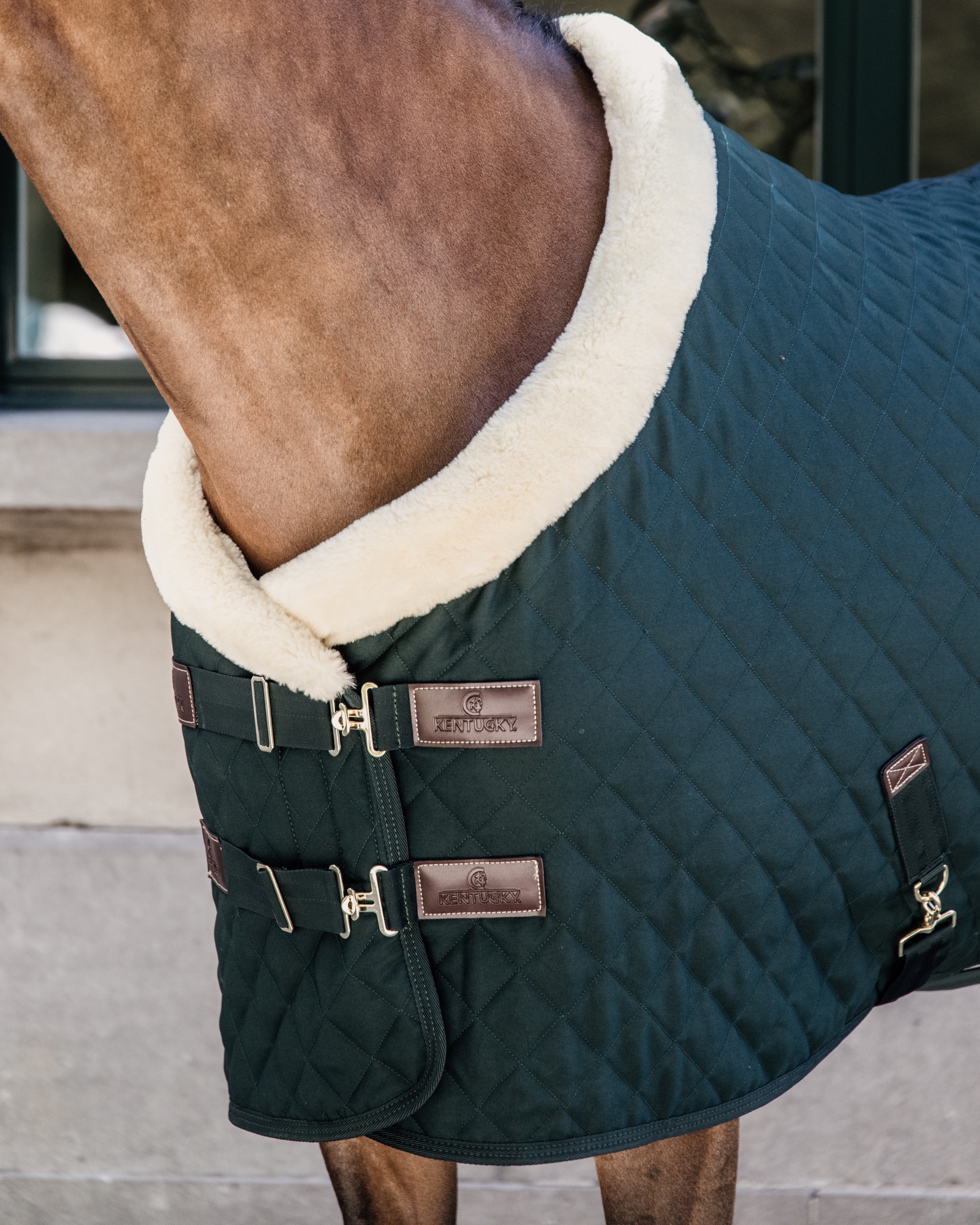 Show rug Show Rug 160g