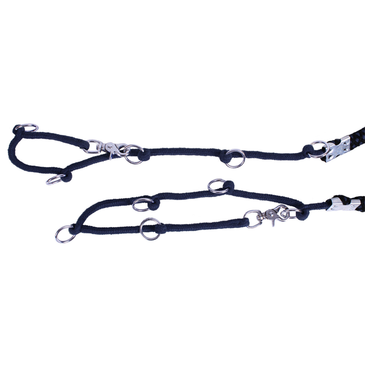 Luxury lunging aid