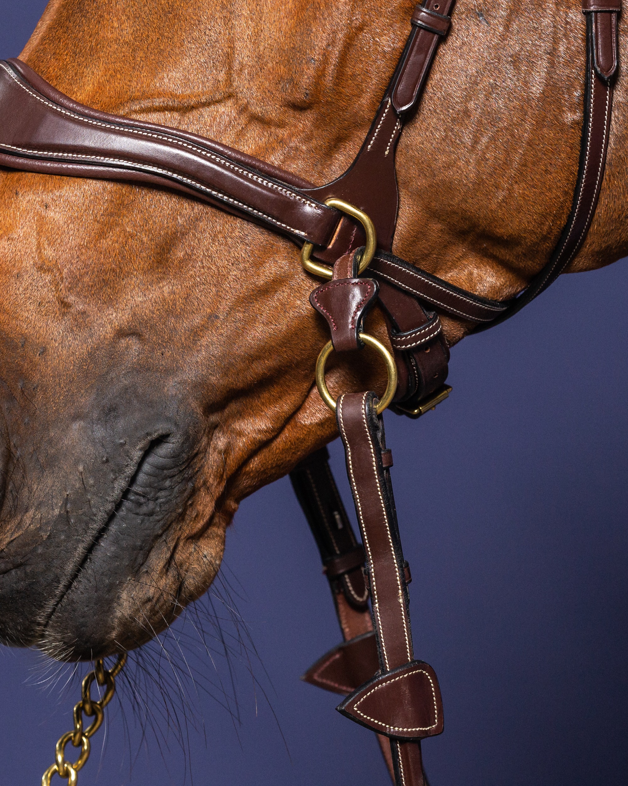 Snaffle D-Motion Snaffle D-Motion