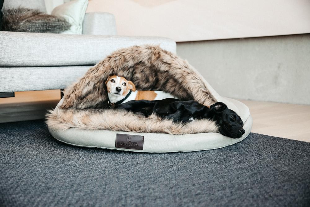 Hundebett Igloo | Kentucky Dogwear