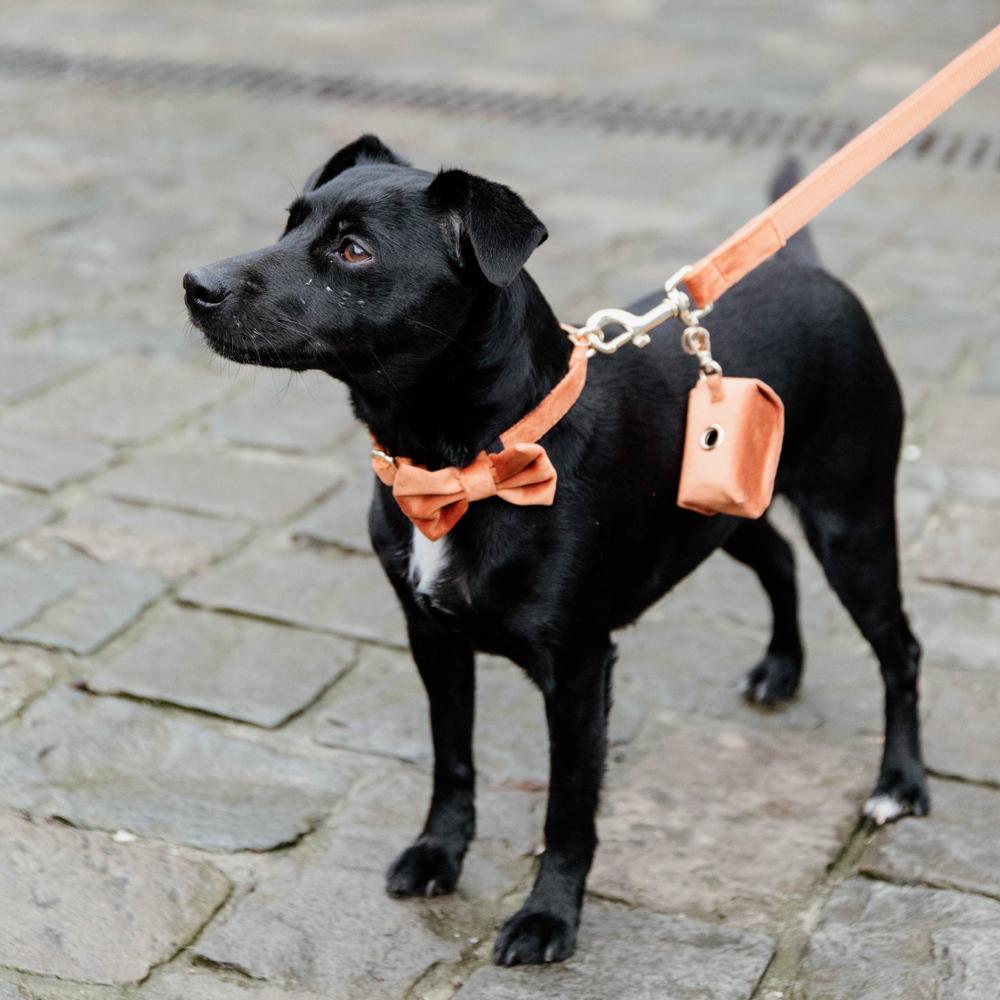 Dog lead Velvet 120 cm