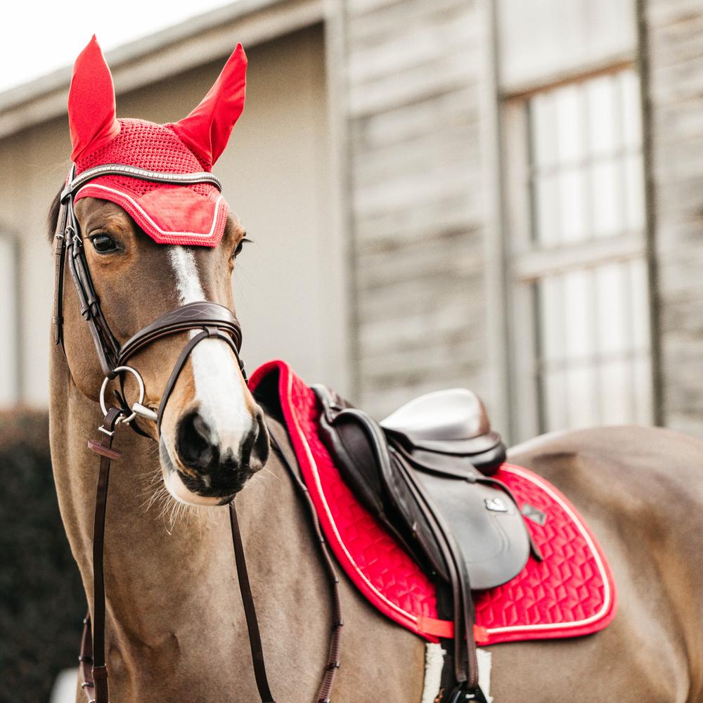 Saddle pad Velvet
