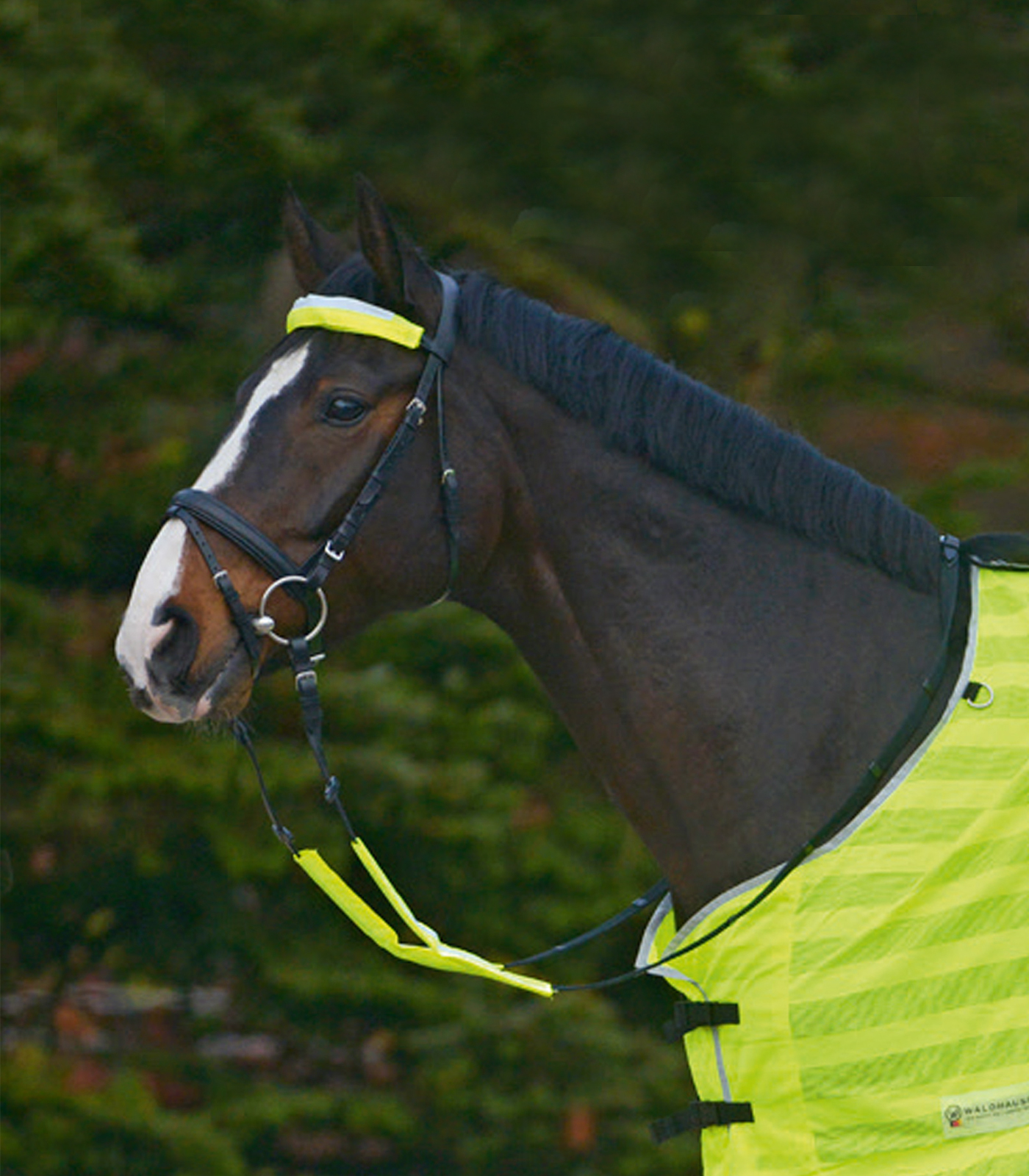 Reflex snaffle bridle set