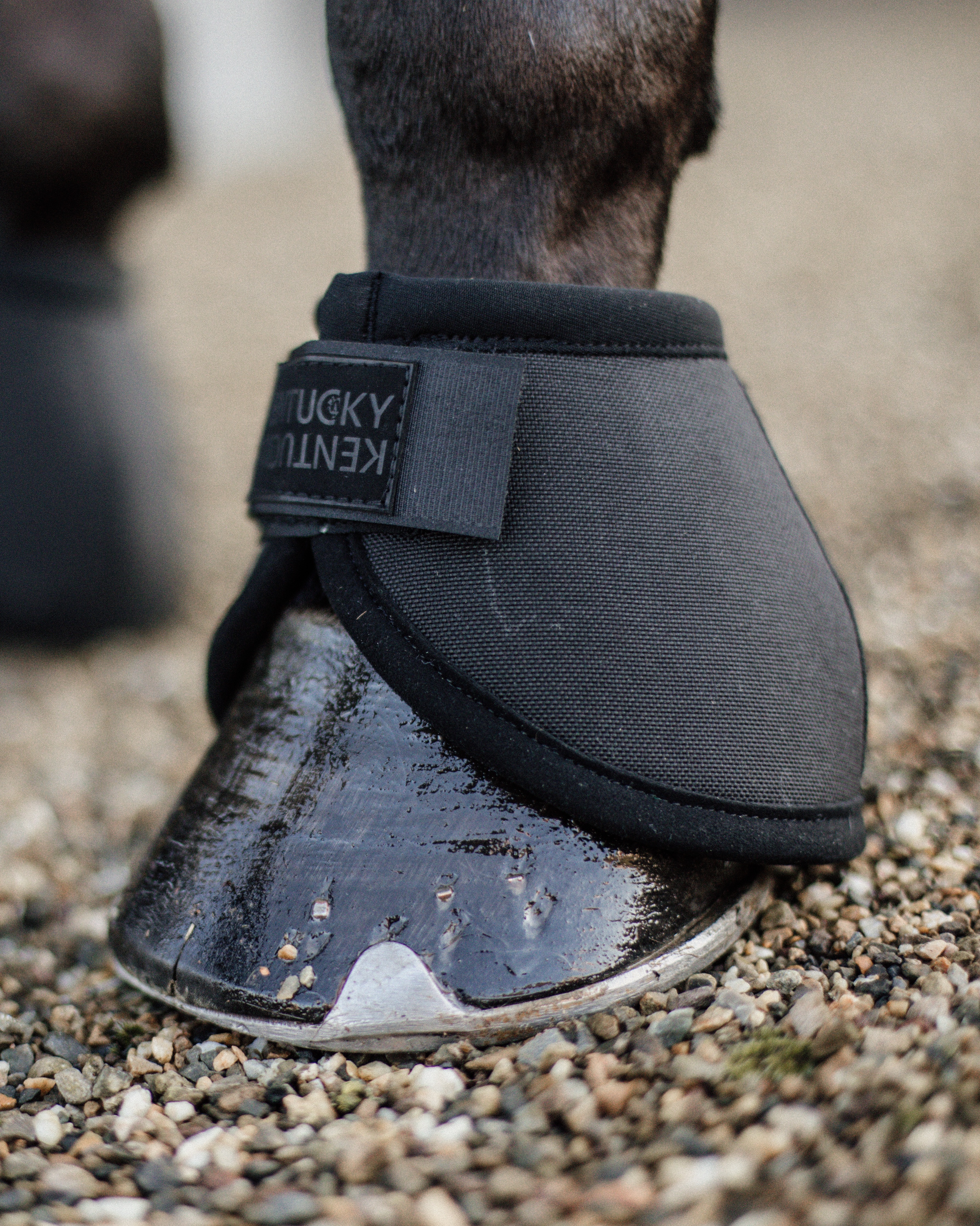 Hoof bells bunion protection