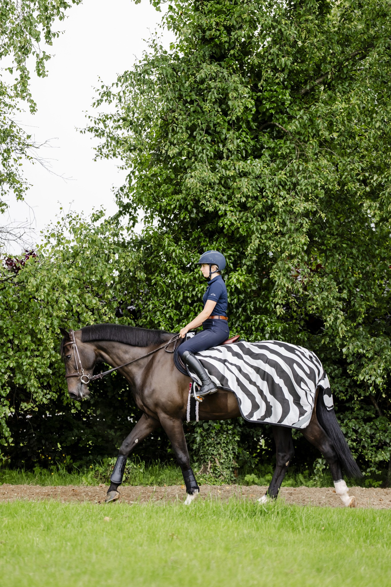 Fliegendecke Buzz-Off Riding in Zebra/Black