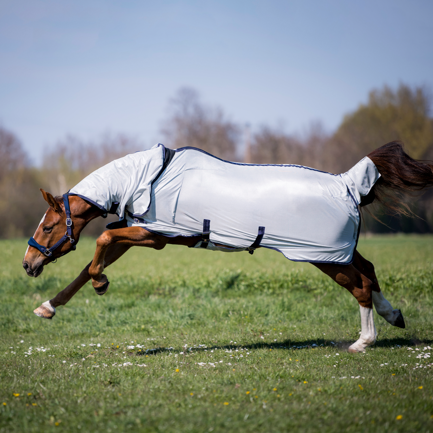 Outdoor fly rug Superb