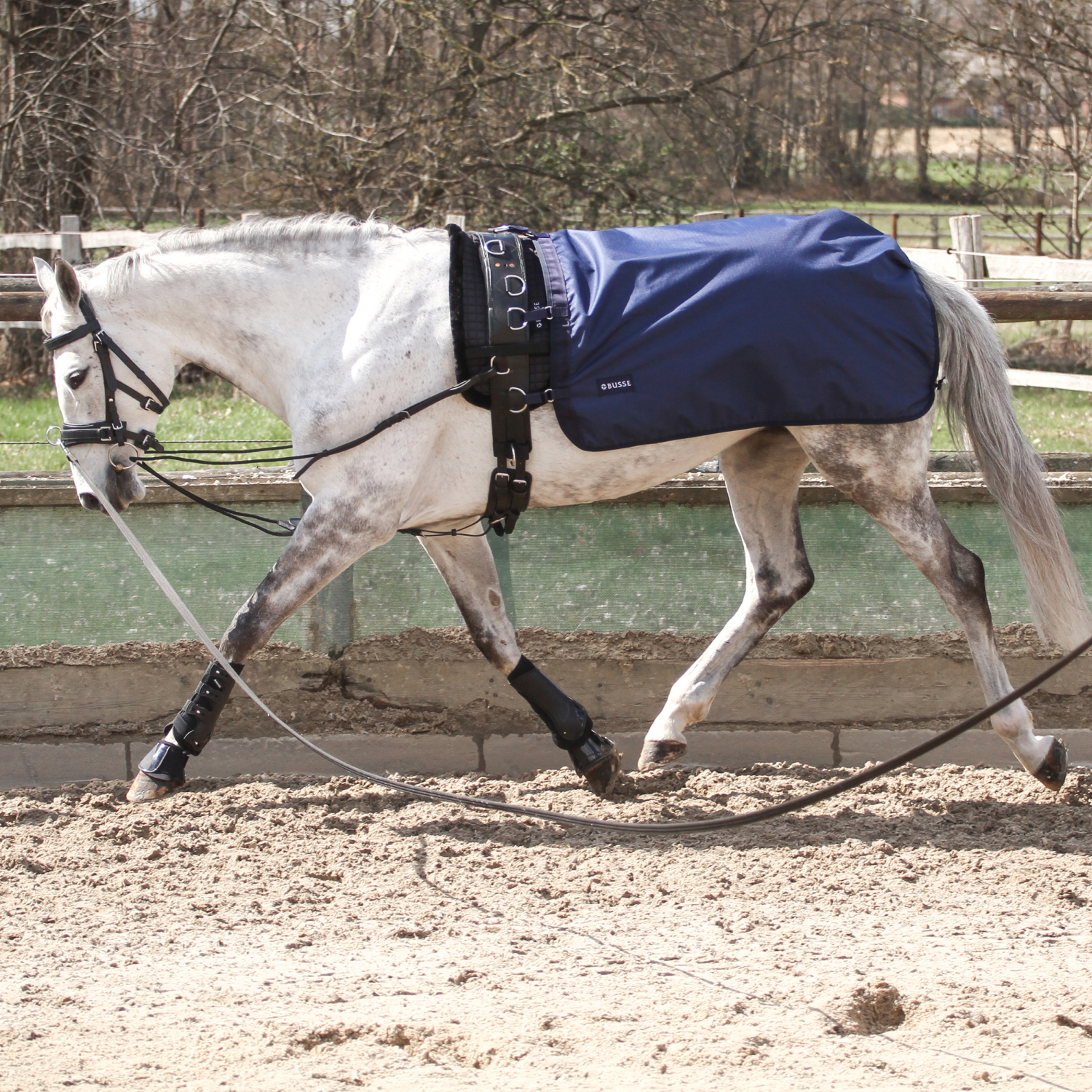 Longierdecke Rain 50