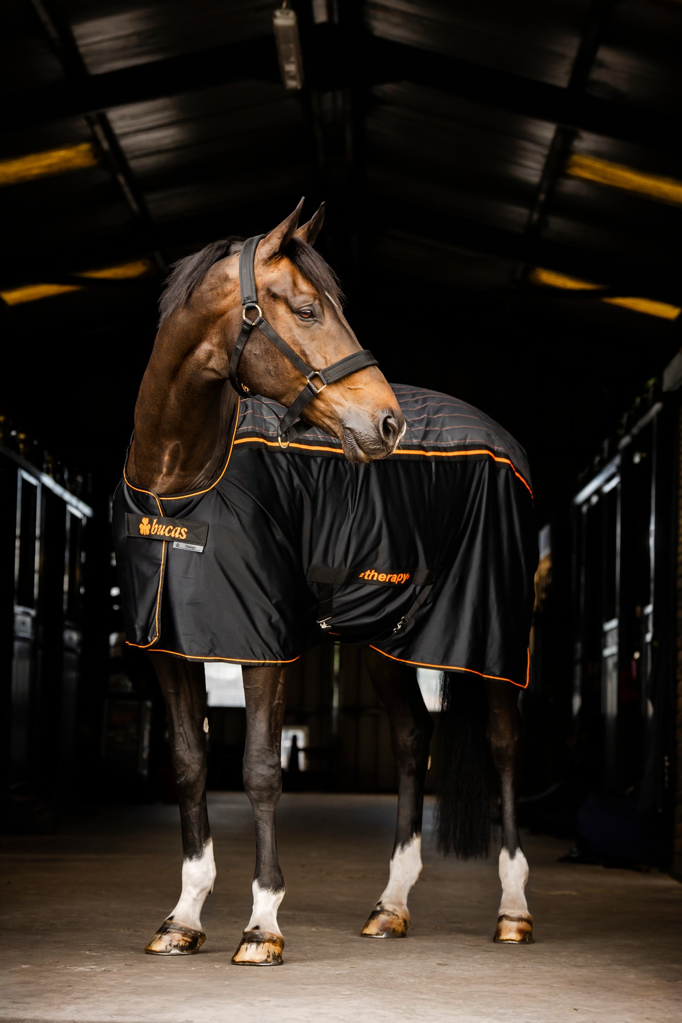 Abschwitzdecke Therapy Cooler in Navy/Orange