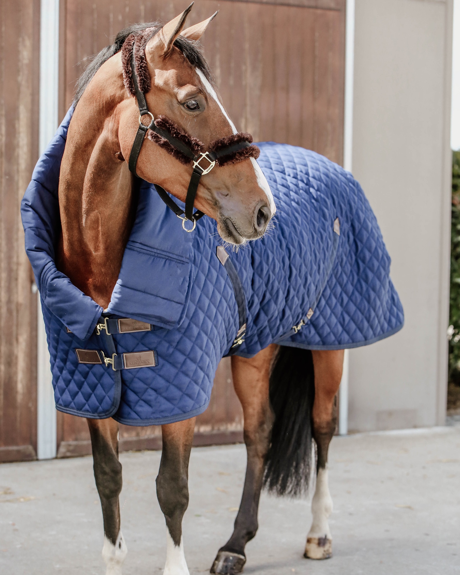 Down duvet horse 300g