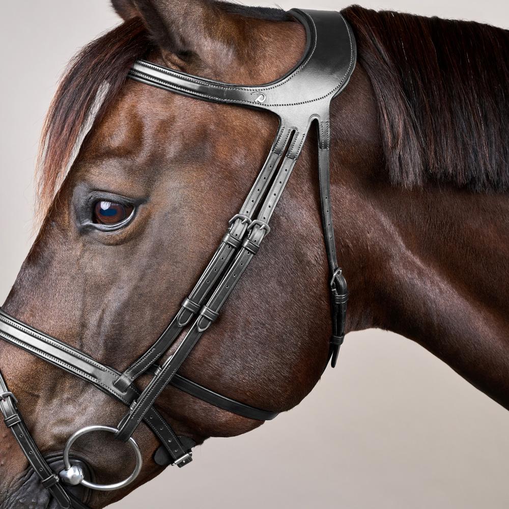 Difference Trense NE