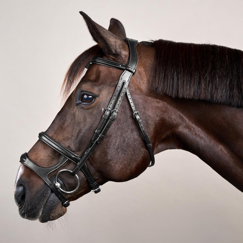 Trense mit Doppelreithalfter NE