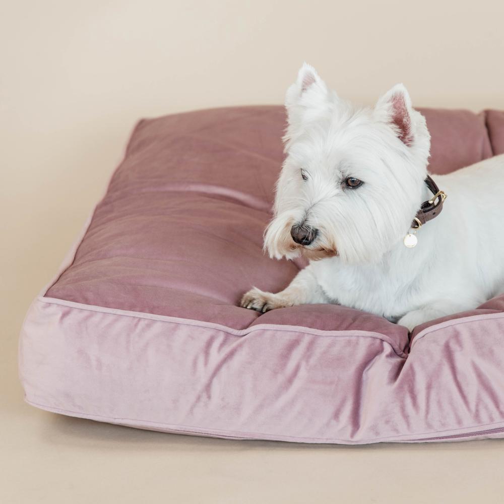 Hundekissen Velvet | Kentucky Dogwear