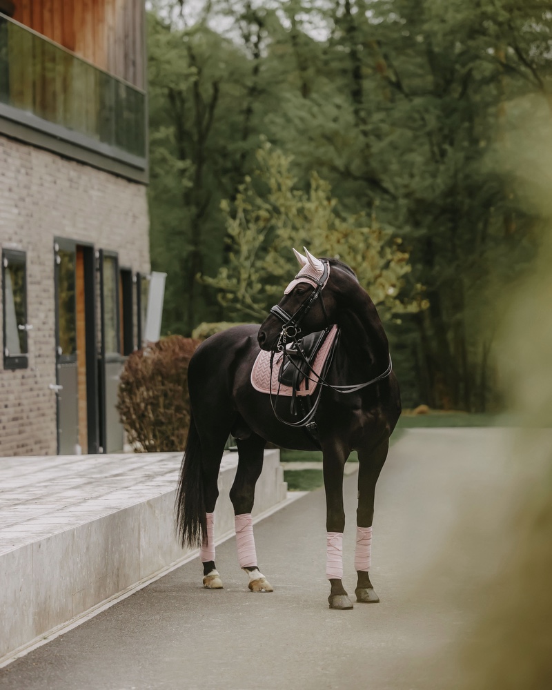 Dressage saddle pad Velvet Pearls