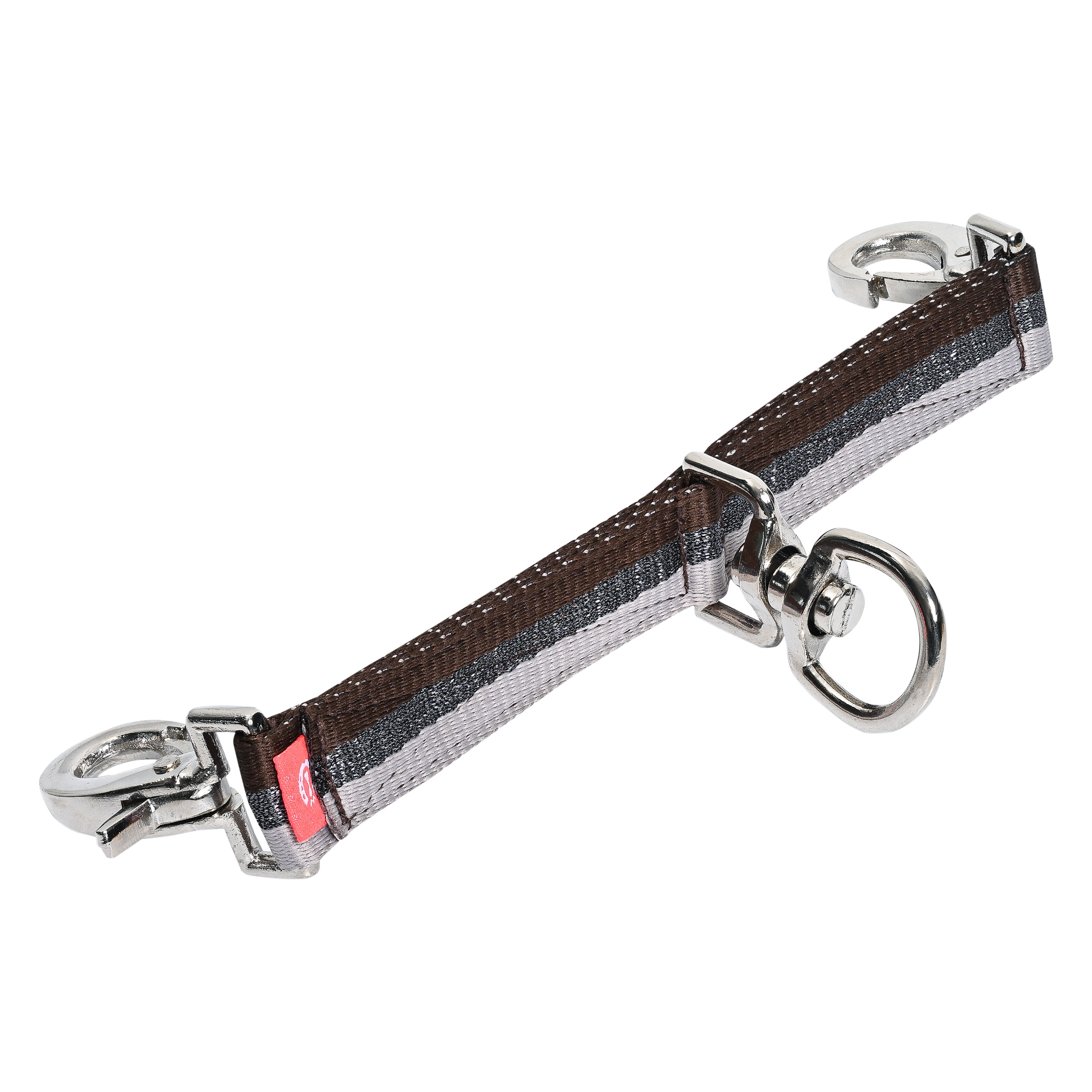 Longierbrille