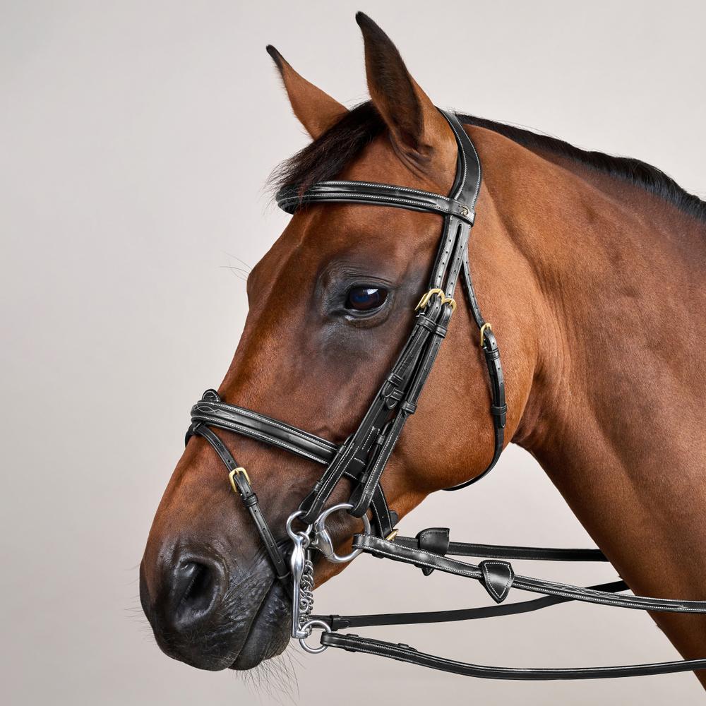 Kandare mit kombiniertem Reithalfter DY | Dy'on Kandare mit kombiniertem Reithalfter DY | Dy'on