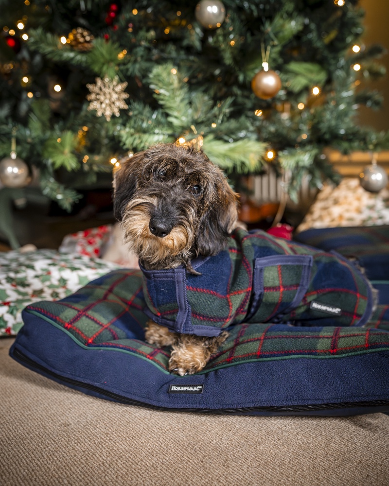 Dog coat Christmas Special
