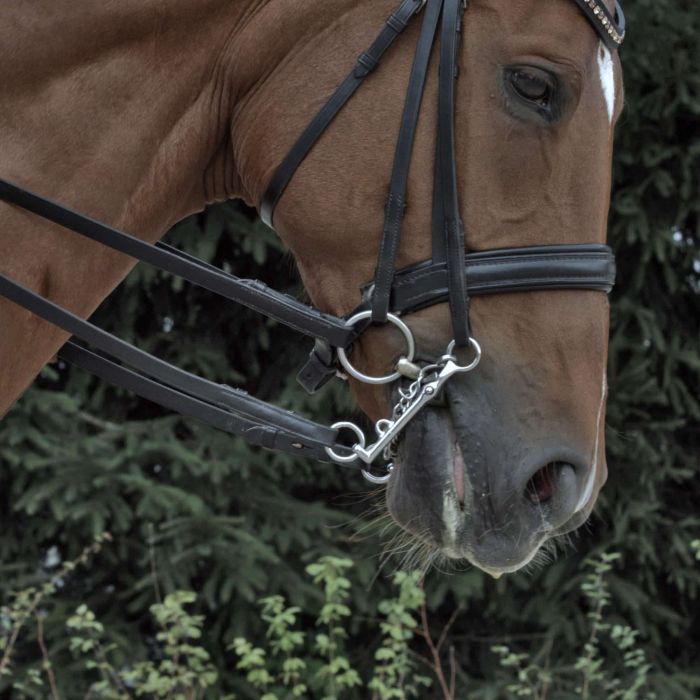 Double bridle DS 16 mm Sensogan