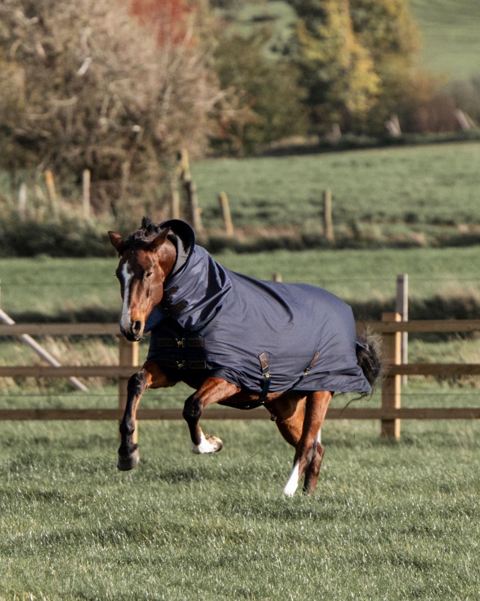 Outdoor rug All Weather Quick Dry Fleece in navy Outdoor rug All Weather Quick Dry Fleece in navy