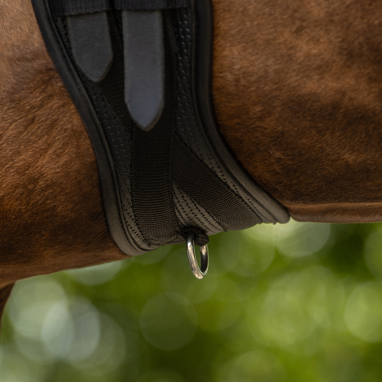 Basic Pro dressage girth