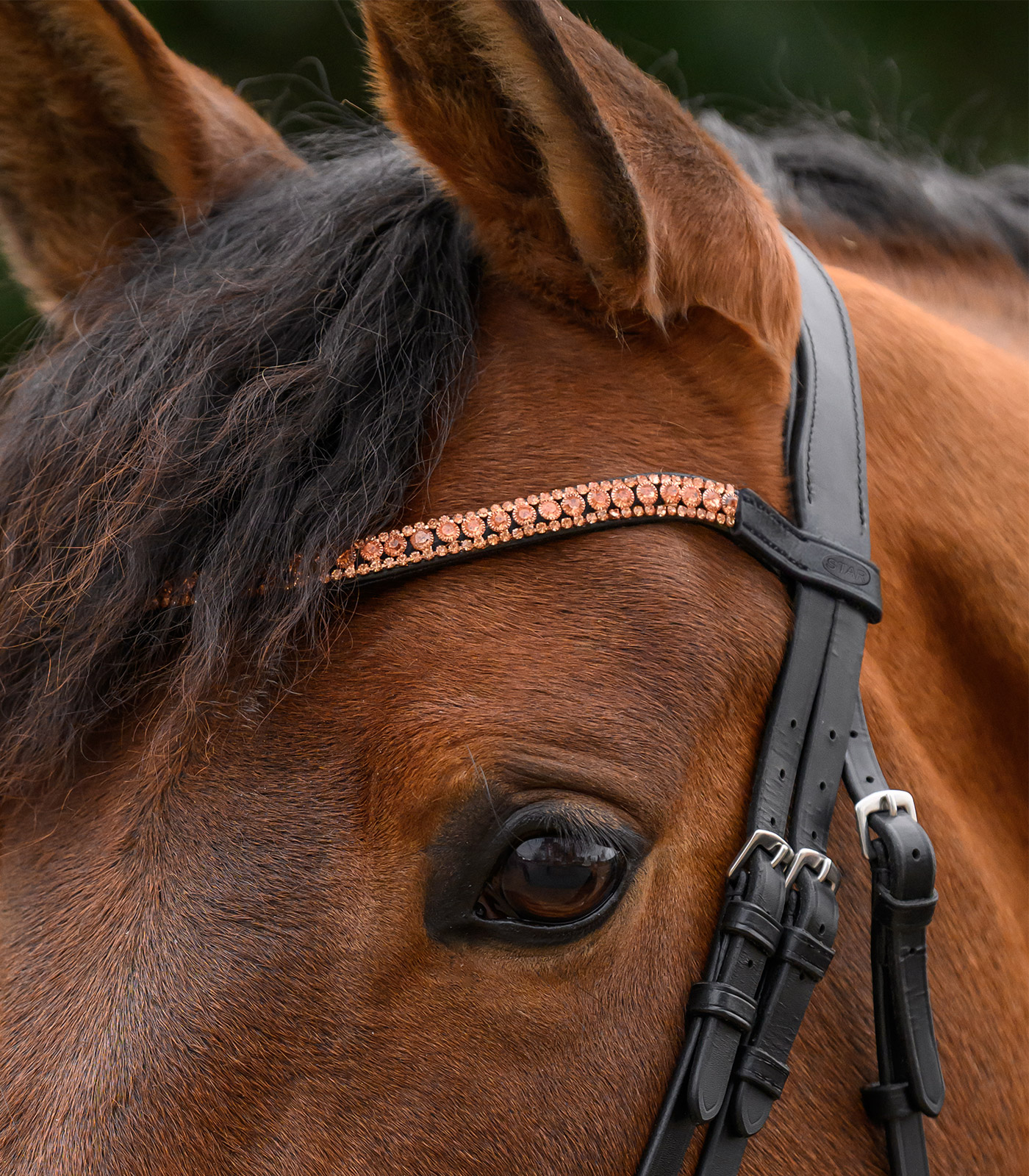 browband Glitter