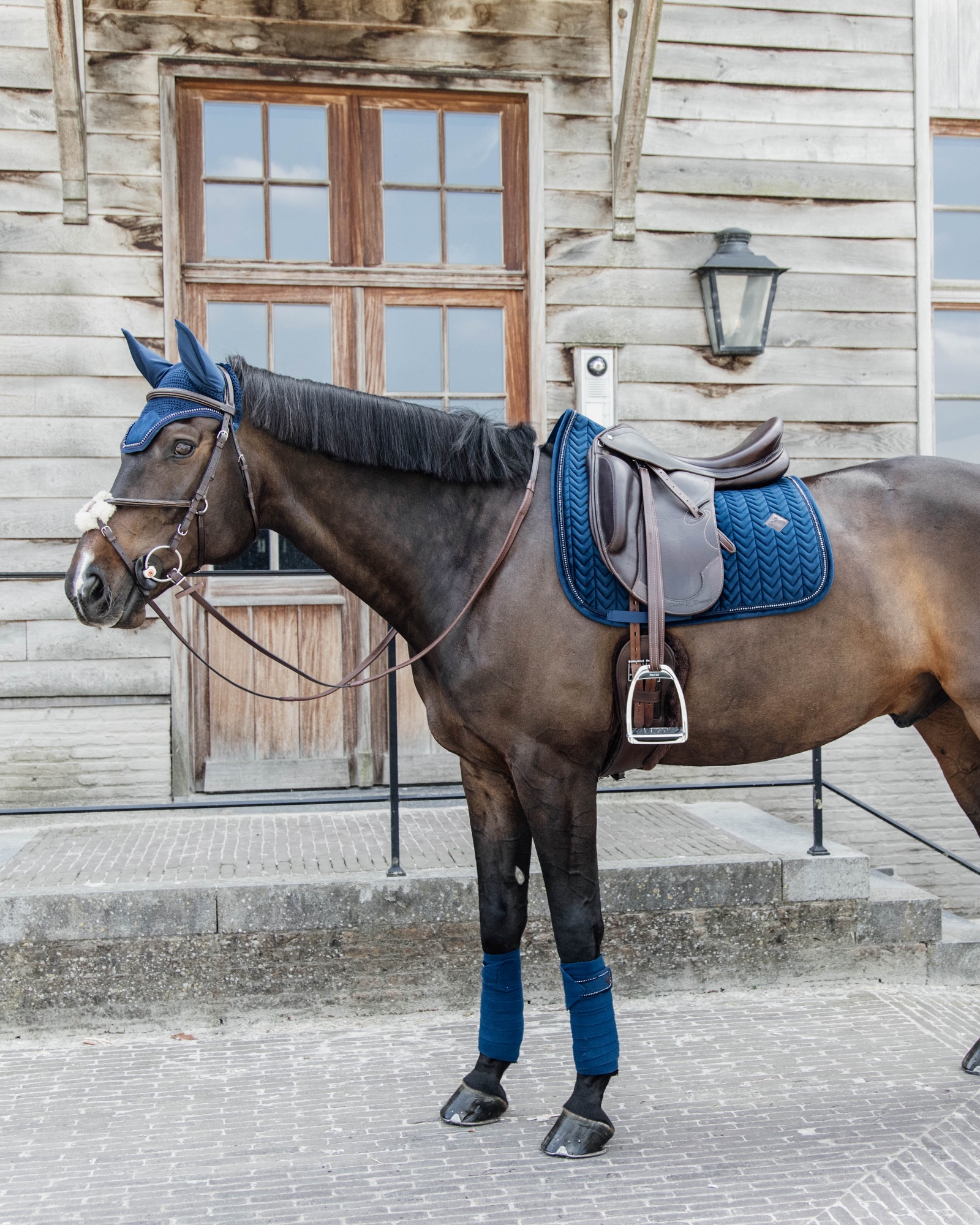 Dressage saddle pad Velvet Pearls