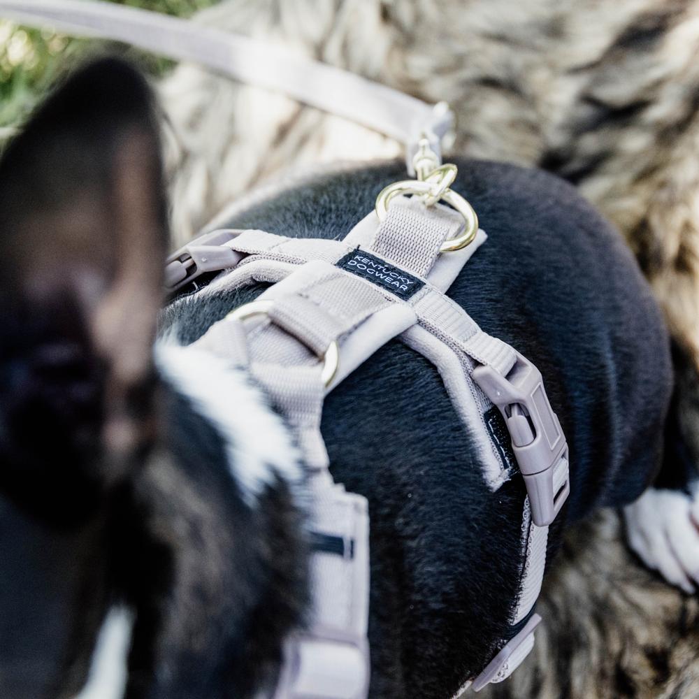 Harnais pour chien Aktiv Velvet