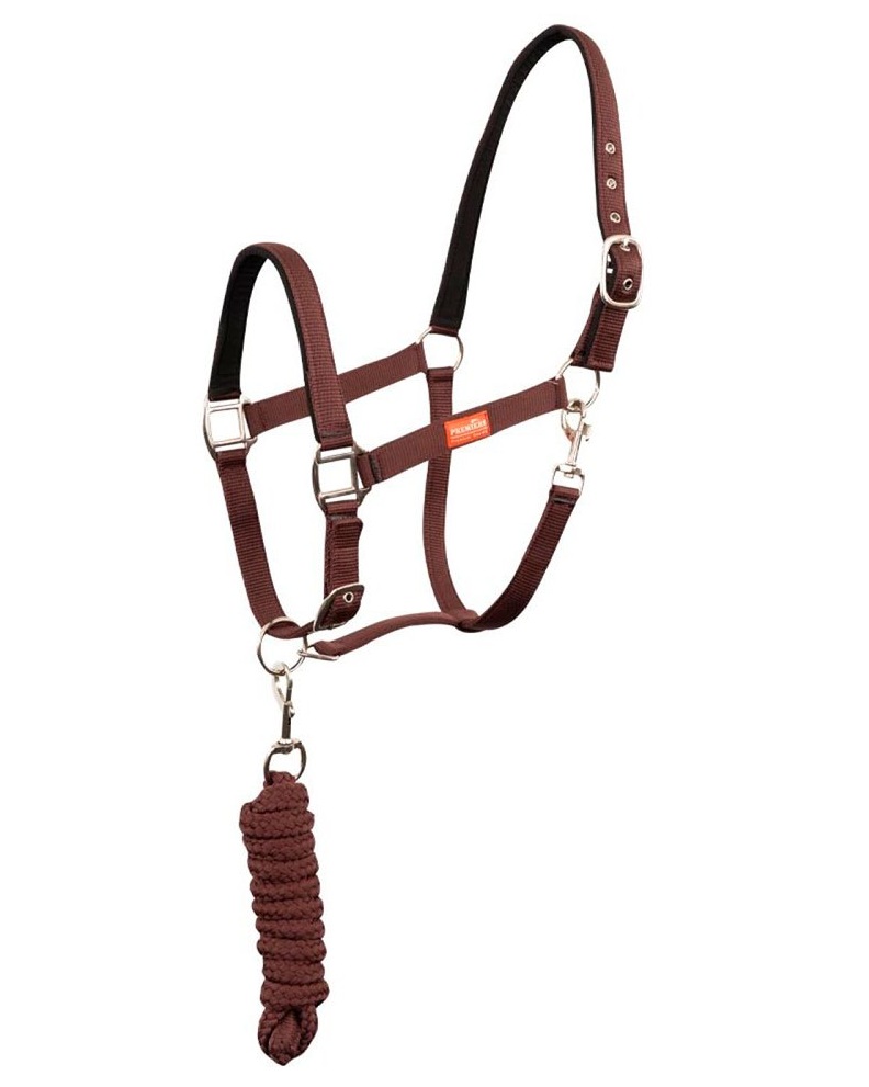 Snap Hook halter
