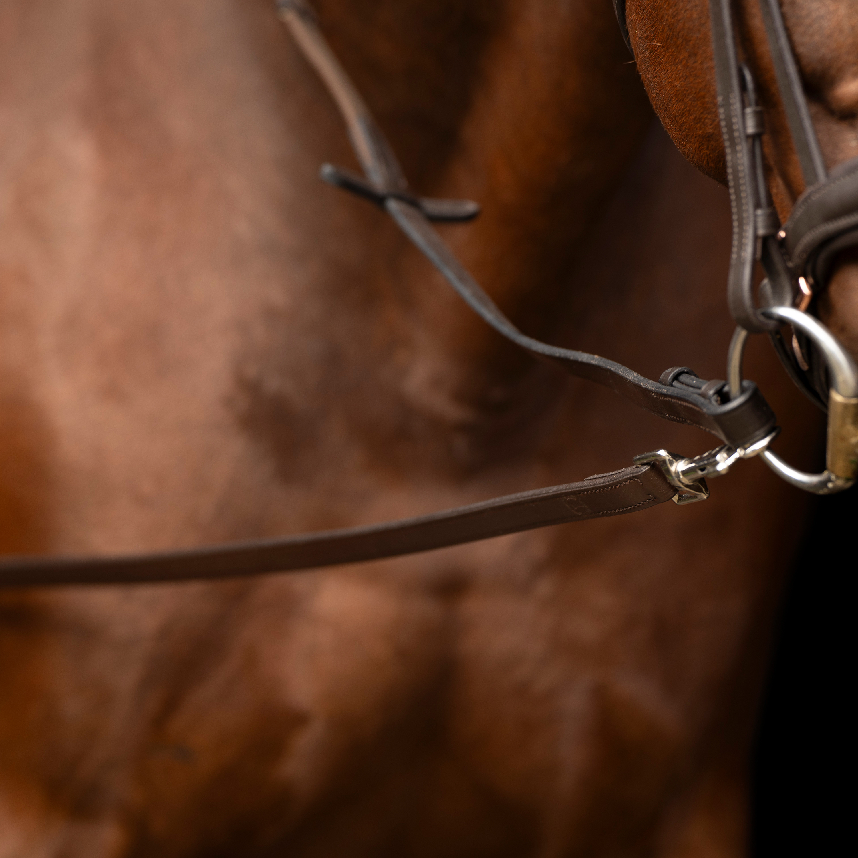 Ausbinder Leder Core