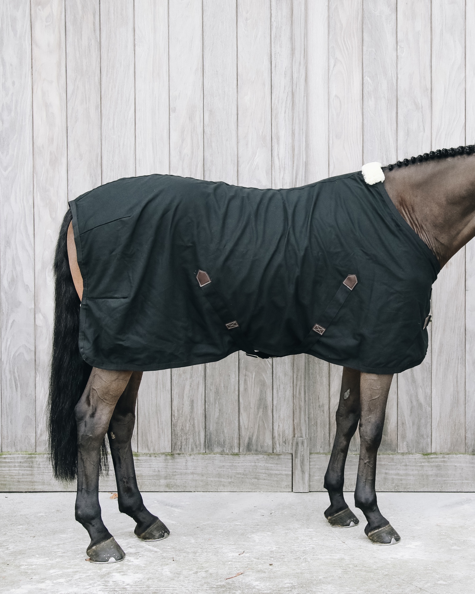Cotton blanket