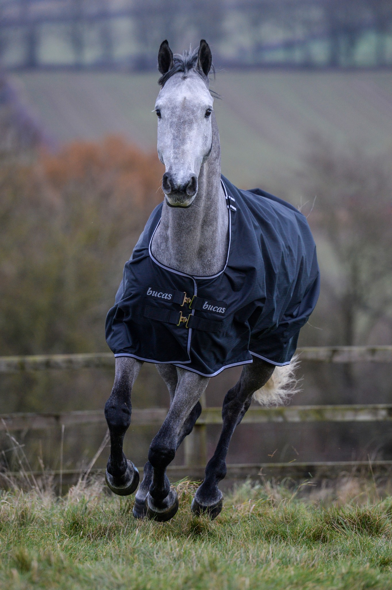 Outdoordecke Trot Turnout 50 g in Black/white
