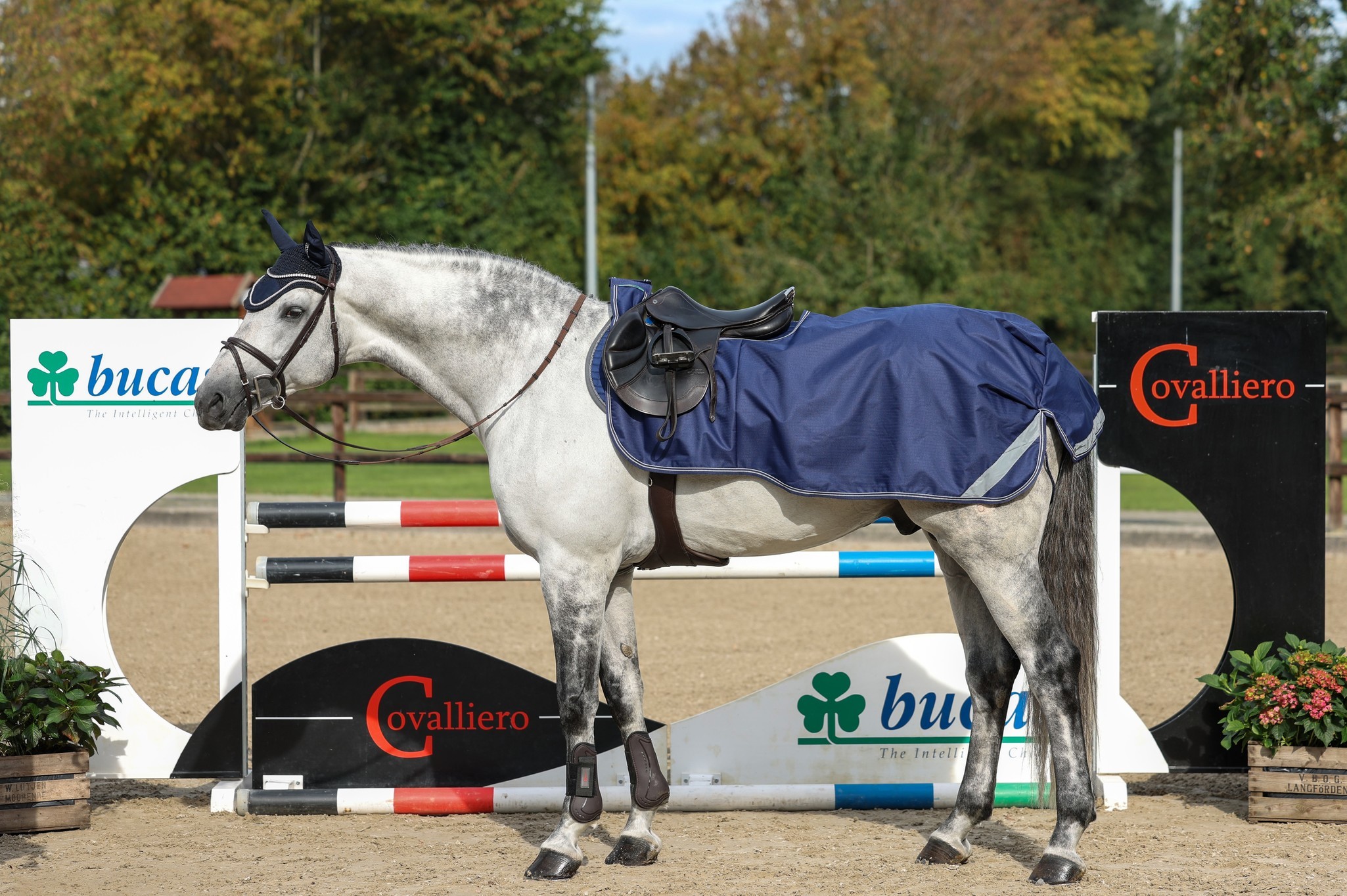 Nierendecke Riding Rug in Navy