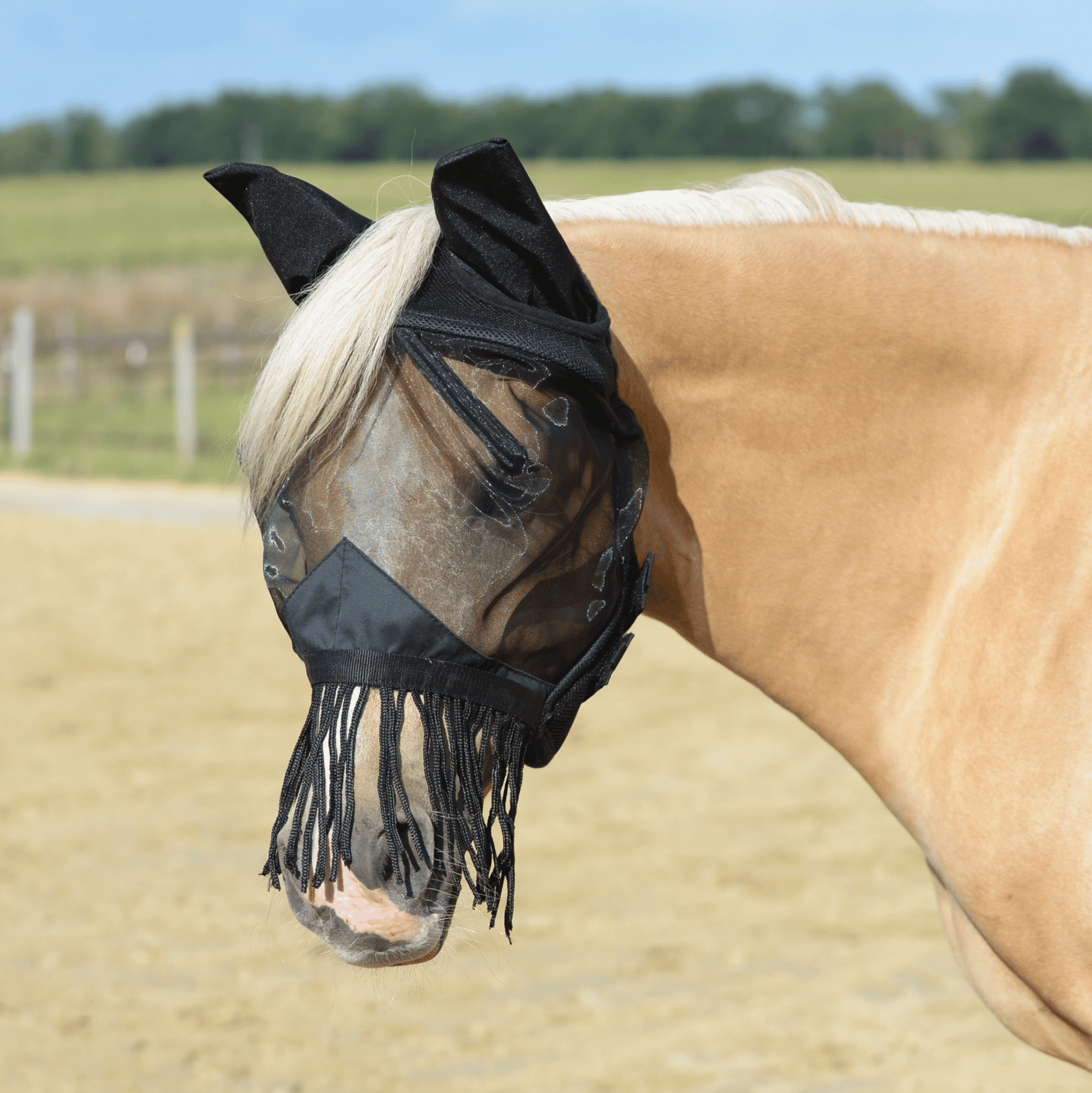 Fliegenmaske Fly Cover Fransen Gap II