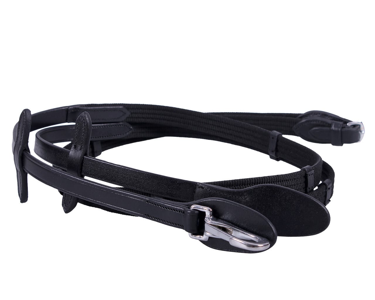 Web reins with clip