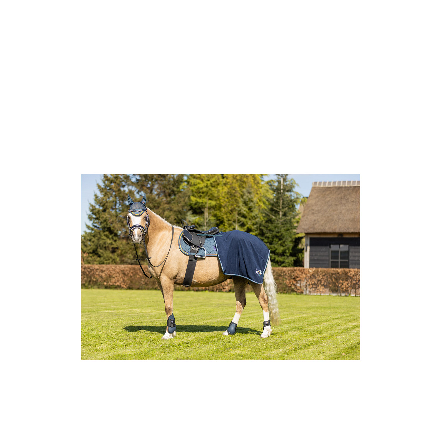Mini Horse Streichkappen