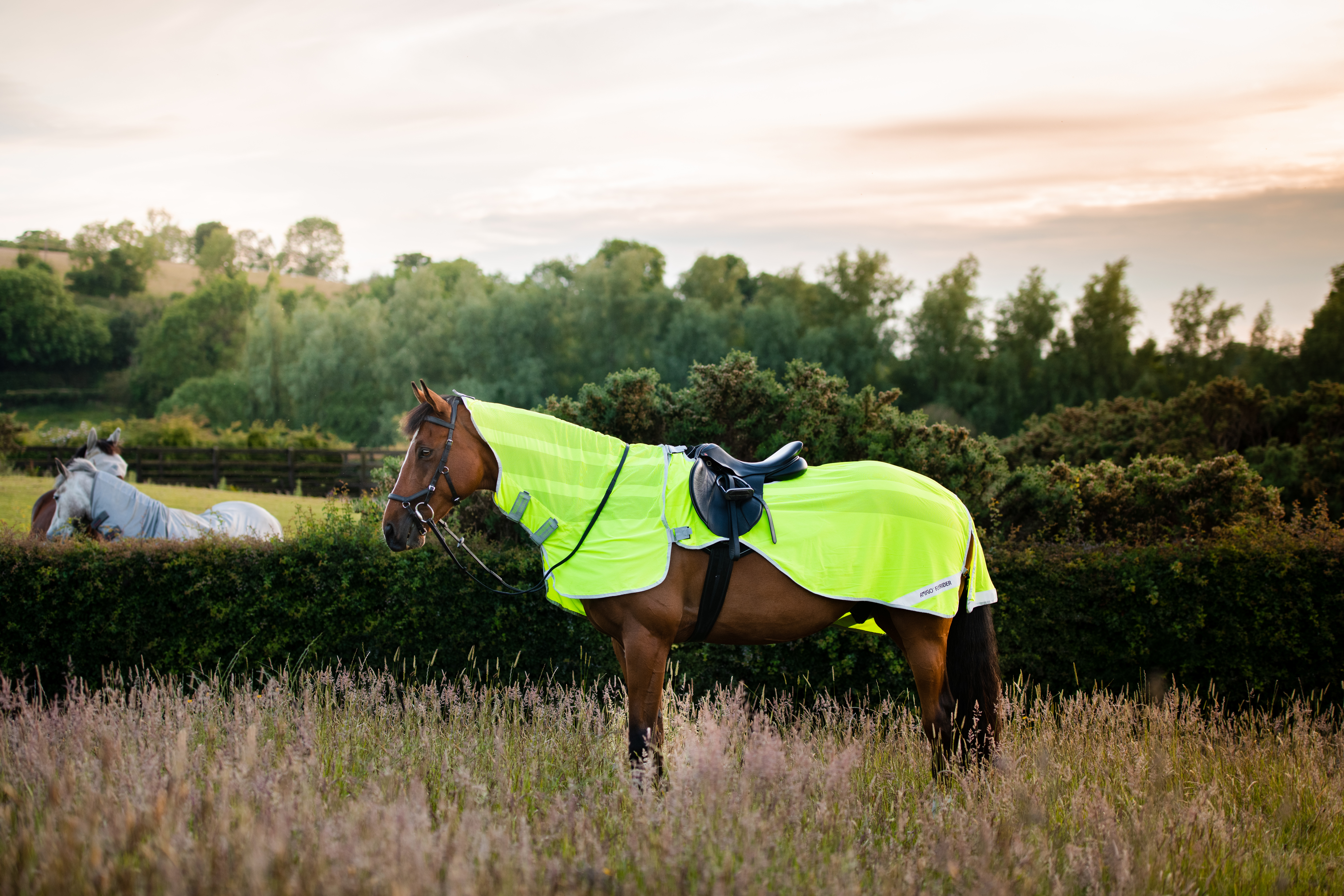 Riding rug Amigo Flyrider in Flourescent Yellow