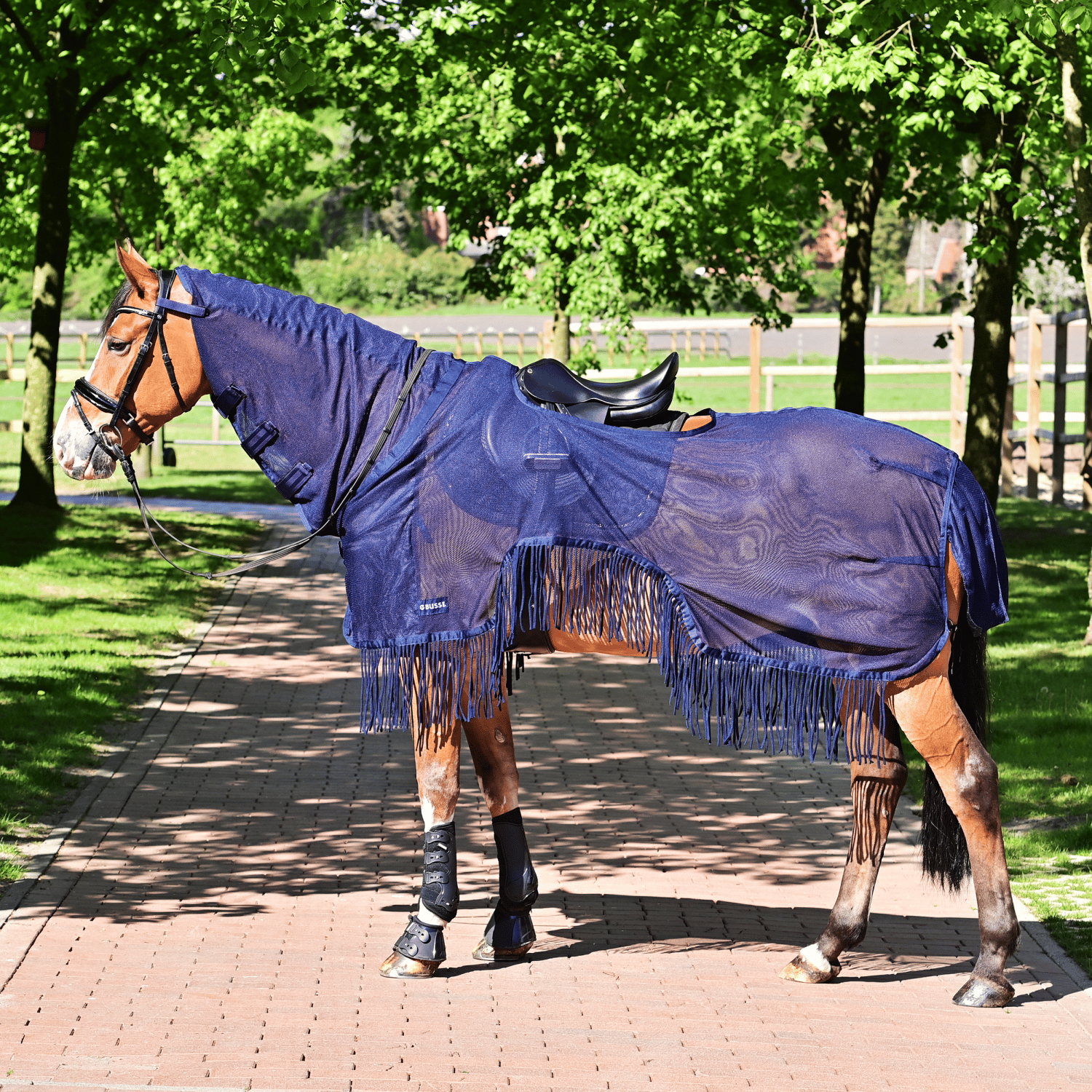 Riding rug Moskito Fringes III