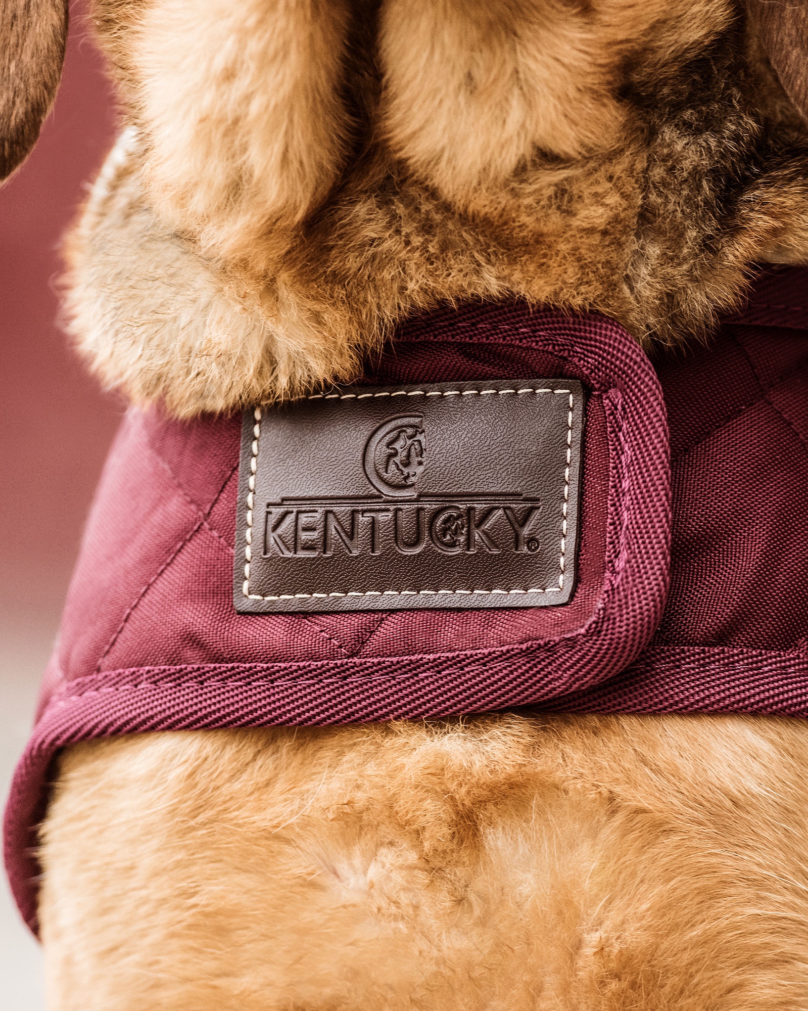 Original dog coat