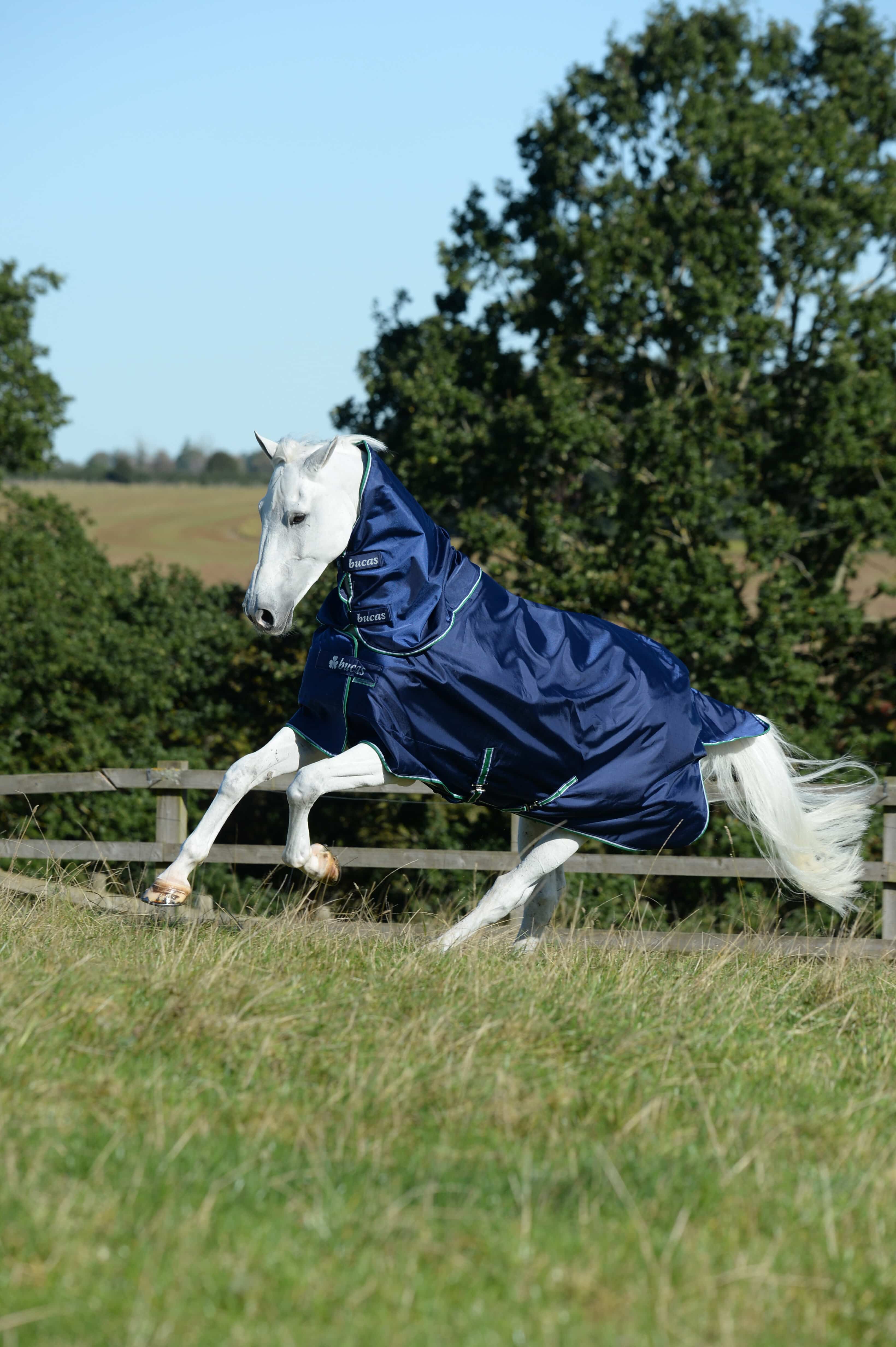 Neck piece Smartex Combi Neck in blue