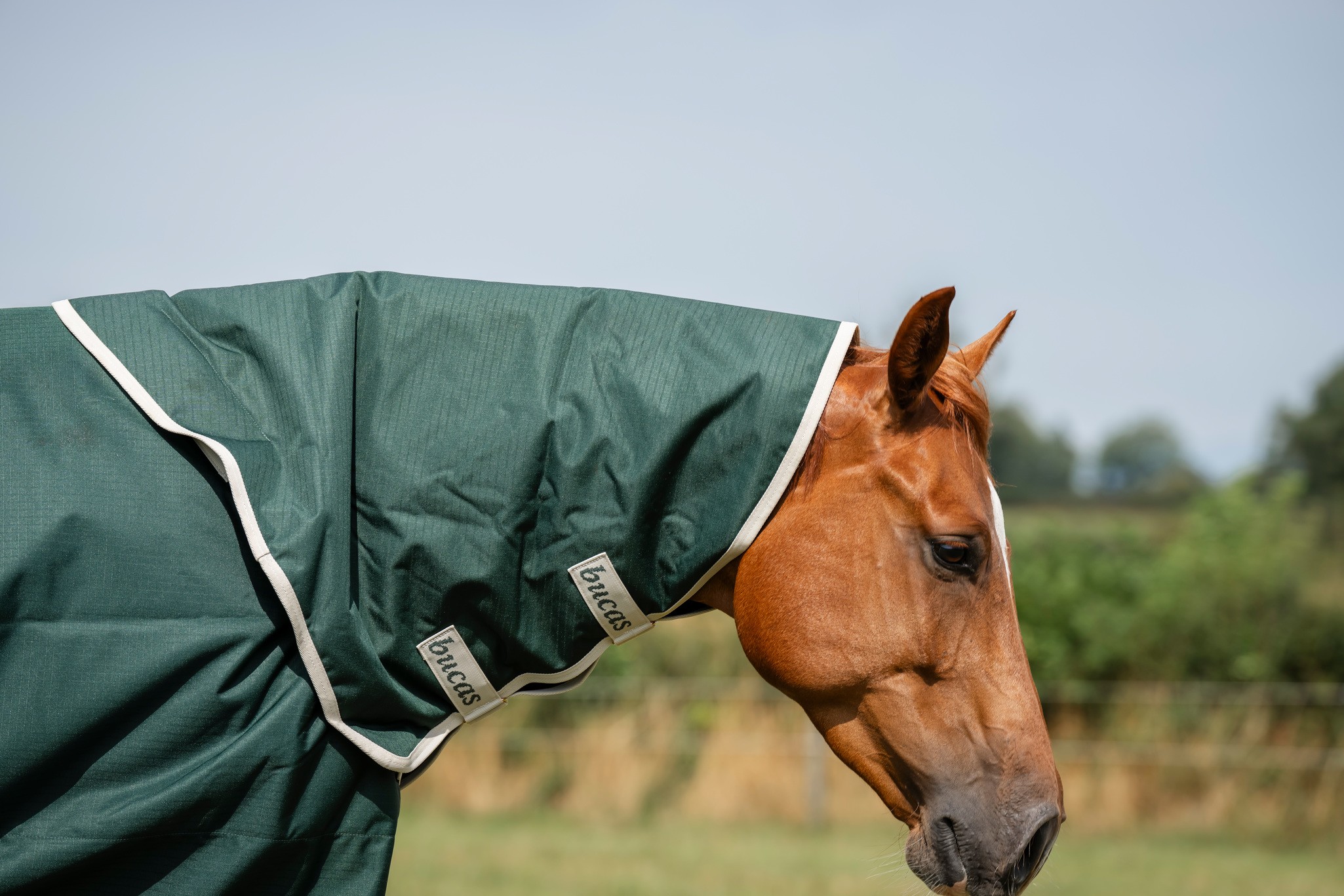 Halsteil Green-Line Combi Neck in Green/cream