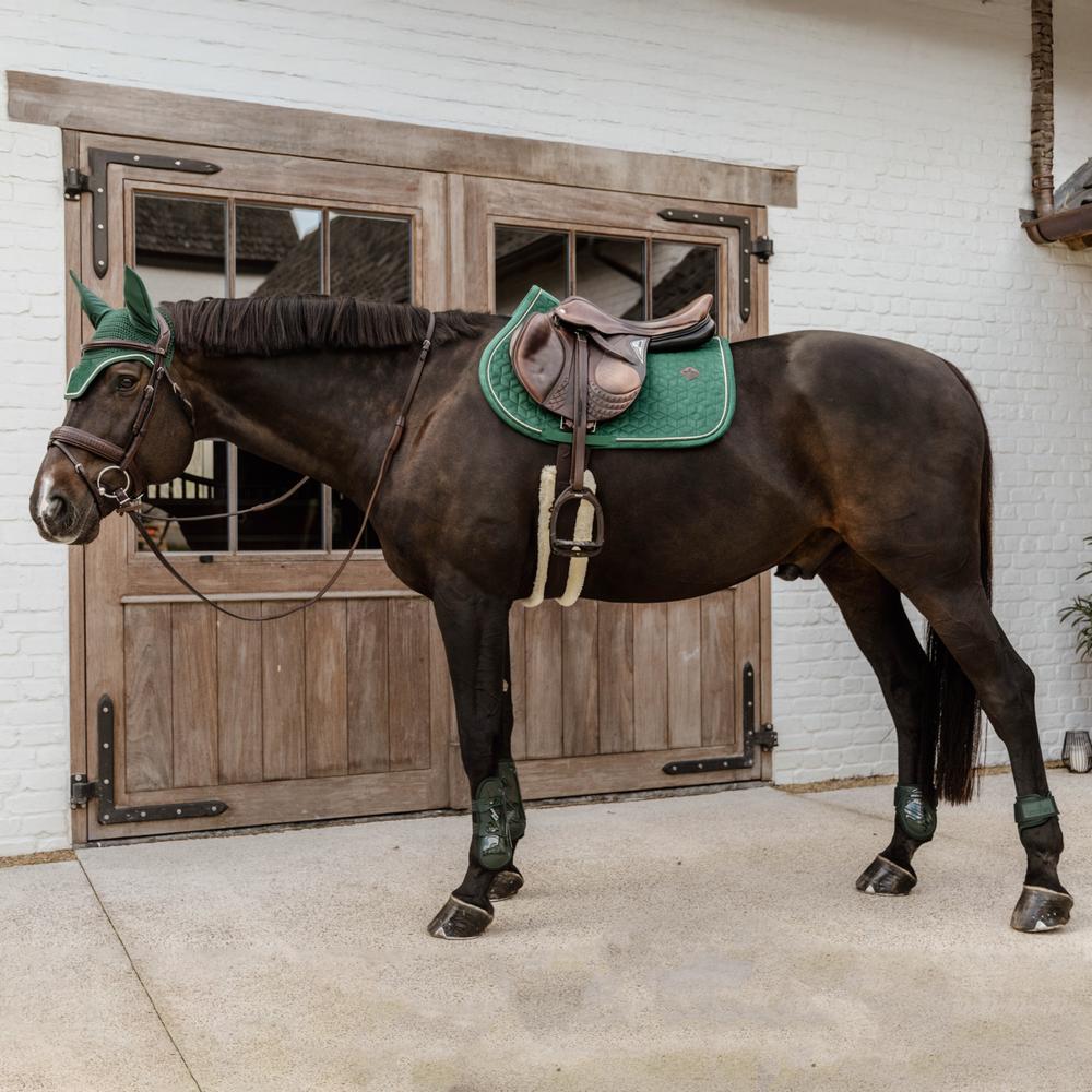 Fetlock boot Young Horse