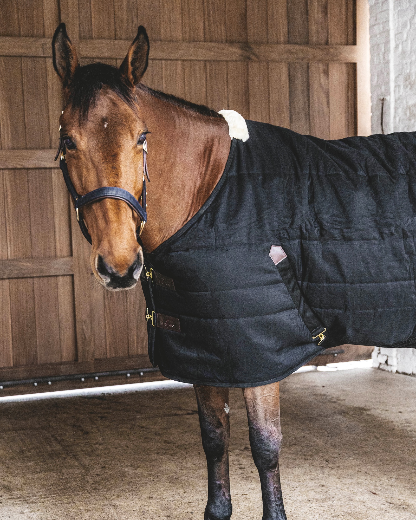 Classic 200g stable rug