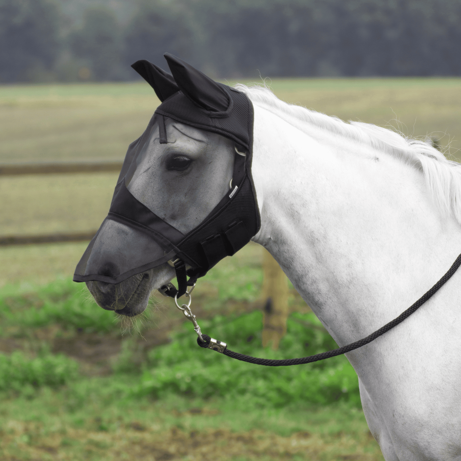 Fly mask Fly Cover Pro