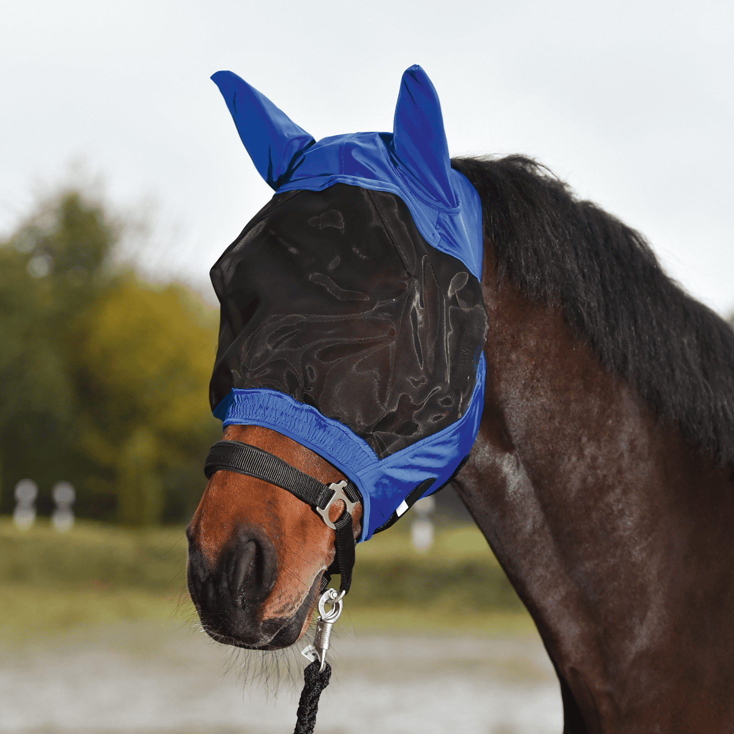 Fliegenmaske Fly Buckler