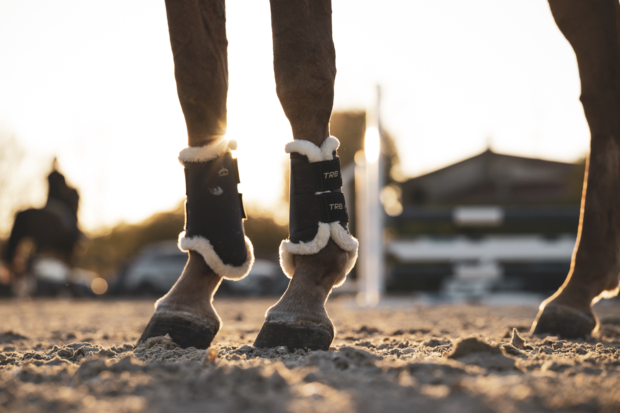 Gamaschen TRB Save the Sheep Front