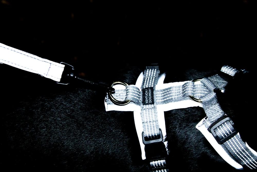 Hundegeschirr Aktiv reflektierend