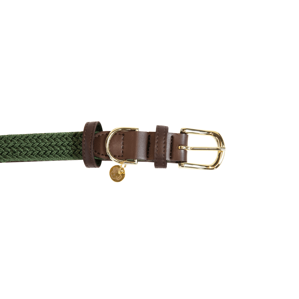 Collier de chien tressé en nylon